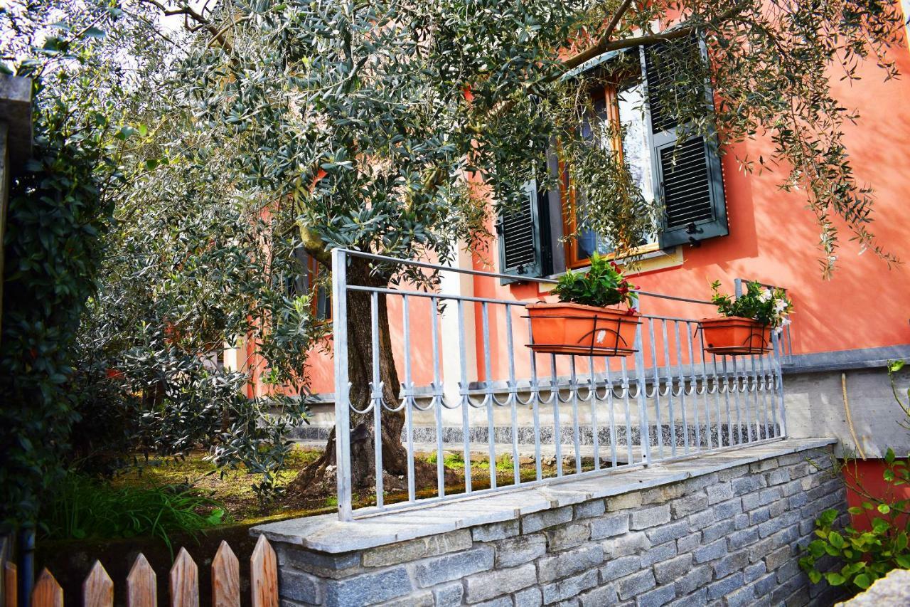 Apartment I Due Ulivi